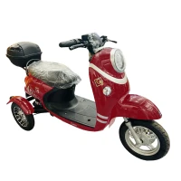 Электротрицикл GT-EV5 (Красный)