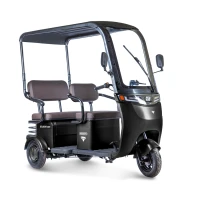Электротрицикл Rutrike Gelbert Bos 48V/60V 800Вт
